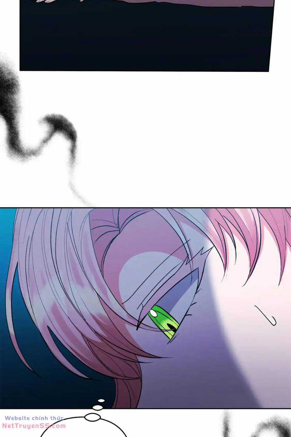 Tôi Đã Nhận Nuôi Nam Chính Chapter 87 trang 13