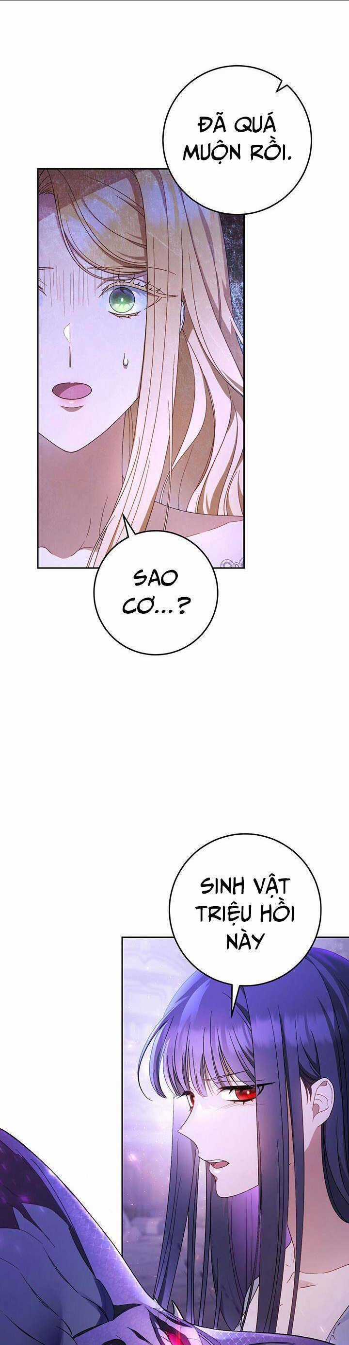 Tôi Đã Nuôi Dạy Em Gái Mình Một Cách Hoàn Hảo Chapter 2 trang 27