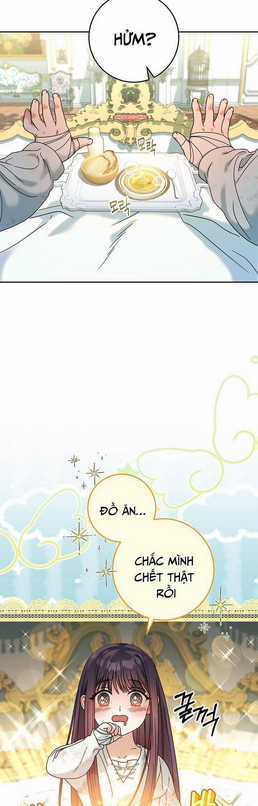 Tôi Đã Nuôi Dạy Em Gái Mình Một Cách Hoàn Hảo Chapter 4 trang 47