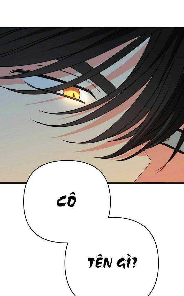 Tôi Đã Nuôi Dưỡng Một Nam Phụ Đầy Ám Ảnh Chapter 16 trang 62