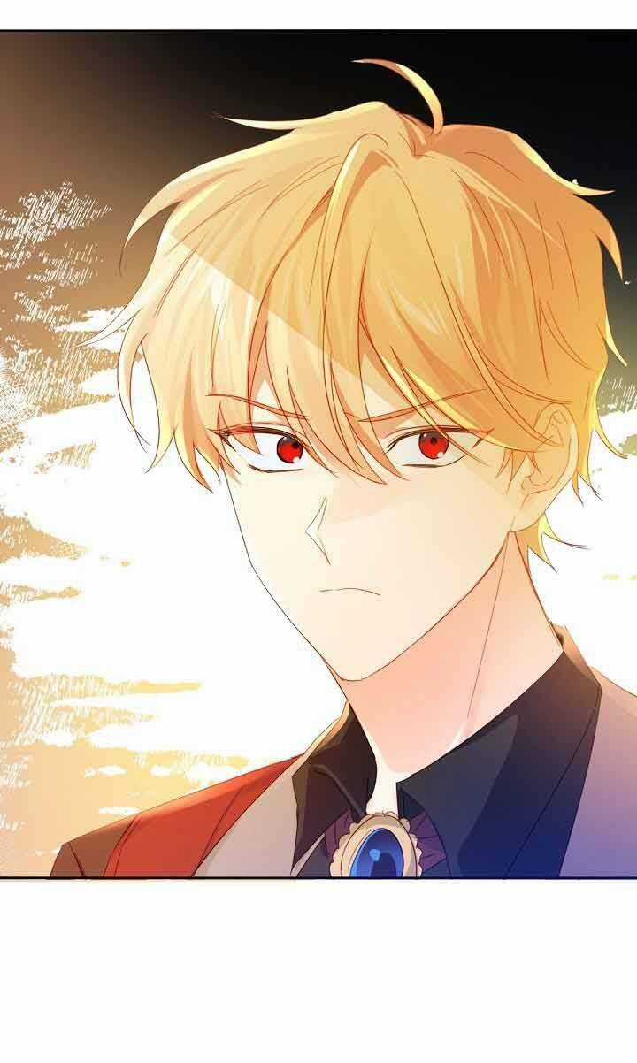 Tôi Đã Nuôi Dưỡng Một Nam Phụ Đầy Ám Ảnh Chapter 45 trang 17