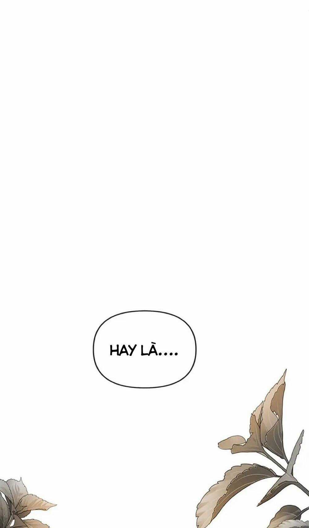 Tôi Đã Nuôi Dưỡng Một Nam Phụ Đầy Ám Ảnh Chapter 49 trang 36