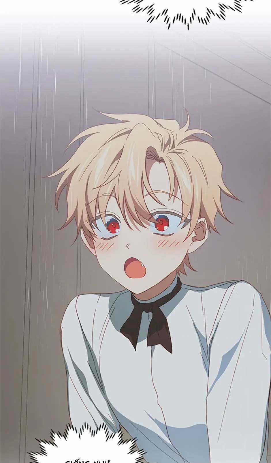 Tôi Đã Nuôi Dưỡng Một Nam Phụ Đầy Ám Ảnh Chapter 56 trang 11