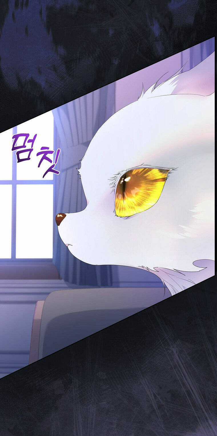 Tôi Đã Nuôi Hồ Ly Sai Cách Rồi Chapter 11.1 trang 1