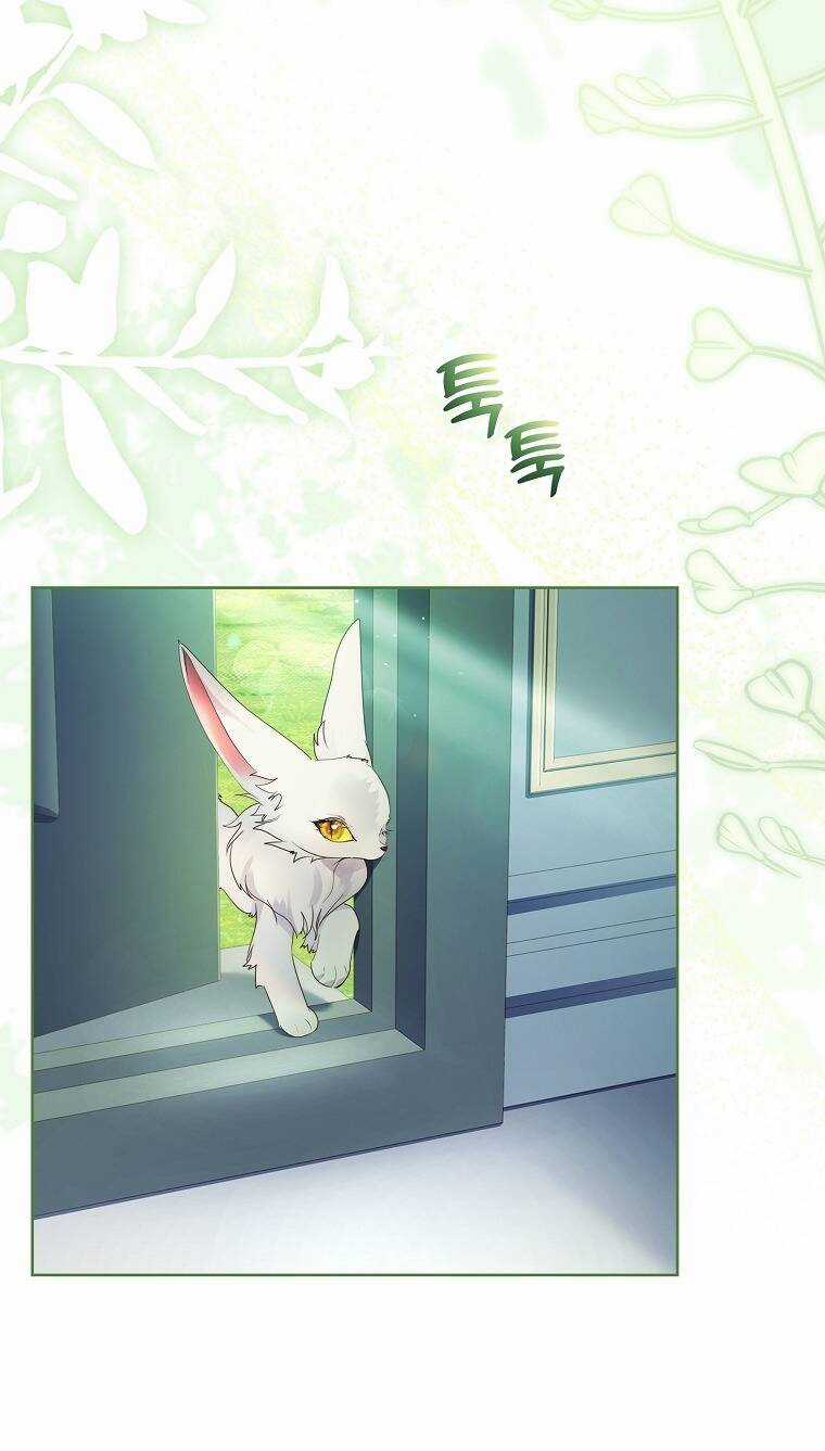 Tôi Đã Nuôi Hồ Ly Sai Cách Rồi Chapter 12.1 trang 27