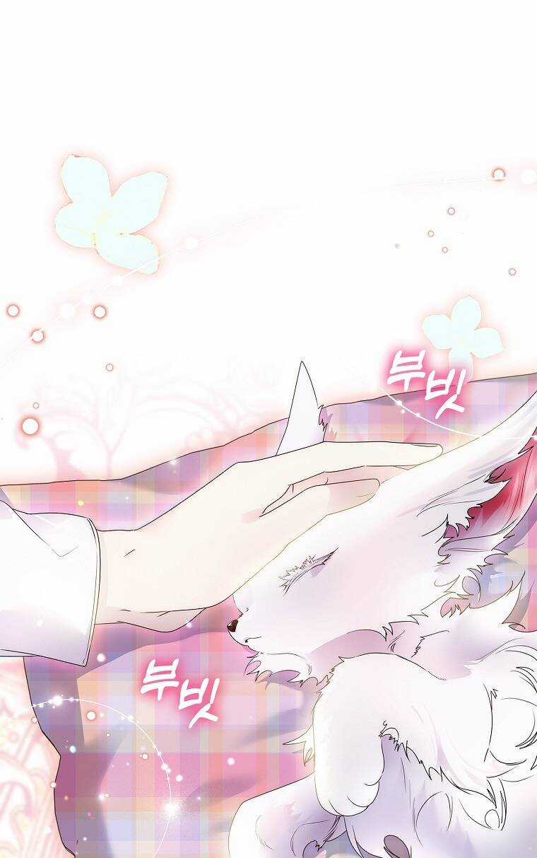 Tôi Đã Nuôi Hồ Ly Sai Cách Rồi Chapter 14.1 trang 16