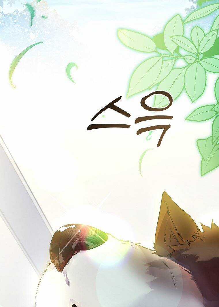 Tôi Đã Nuôi Hồ Ly Sai Cách Rồi Chapter 16.1 trang 28