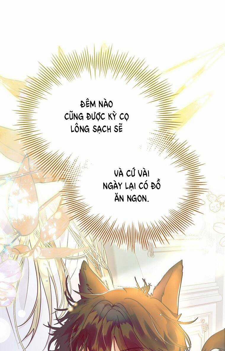 Tôi Đã Nuôi Hồ Ly Sai Cách Rồi Chapter 16.1 trang 36