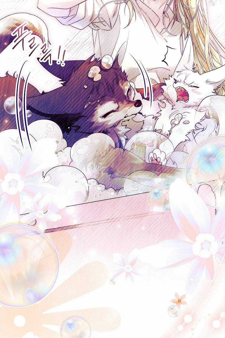 Tôi Đã Nuôi Hồ Ly Sai Cách Rồi Chapter 19.2 trang 25