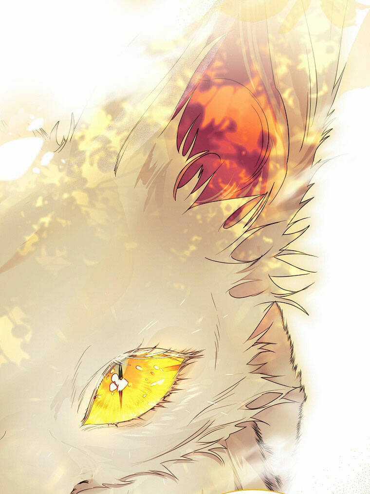 Tôi Đã Nuôi Hồ Ly Sai Cách Rồi Chapter 20.1 trang 14