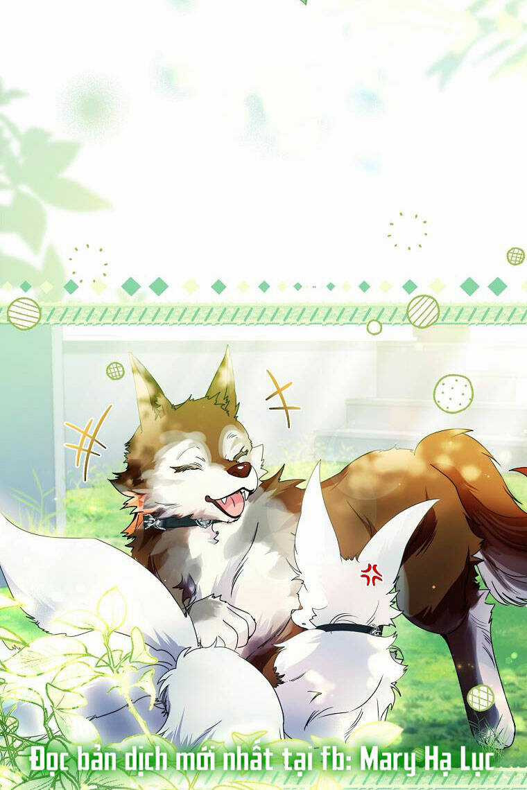 Tôi Đã Nuôi Hồ Ly Sai Cách Rồi Chapter 21.1 trang 11