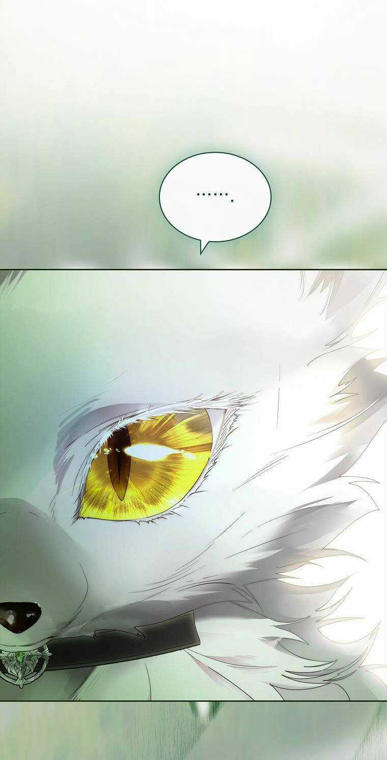 Tôi Đã Nuôi Hồ Ly Sai Cách Rồi Chapter 23.2 trang 35