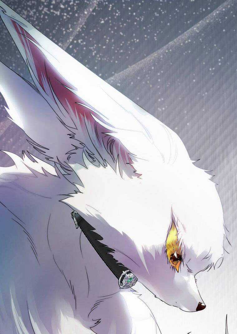 Tôi Đã Nuôi Hồ Ly Sai Cách Rồi Chapter 23.2 trang 39