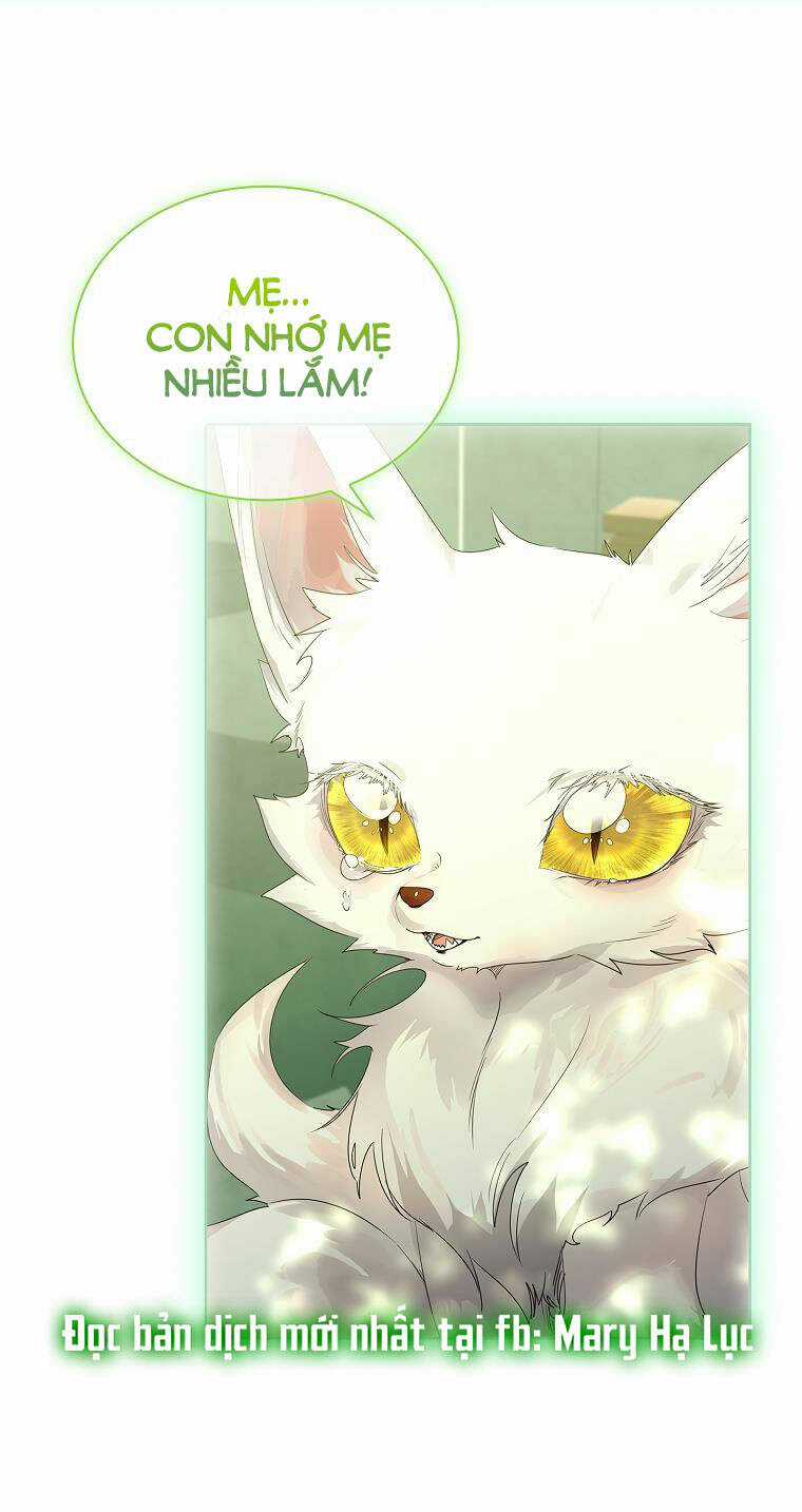 Tôi Đã Nuôi Hồ Ly Sai Cách Rồi Chapter 6.1 trang 19
