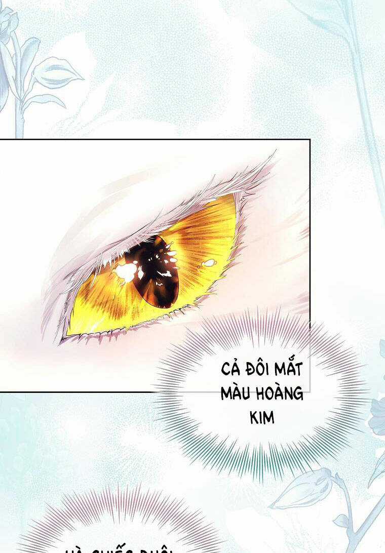 Tôi Đã Nuôi Hồ Ly Sai Cách Rồi Chapter 7.2 trang 1