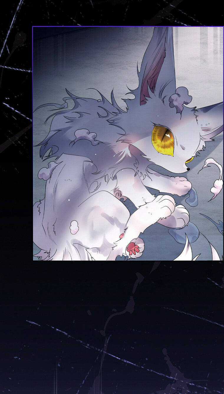 Tôi Đã Nuôi Hồ Ly Sai Cách Rồi Chapter 9.1 trang 13