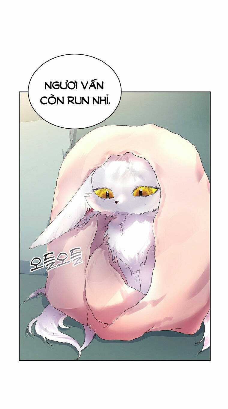 Tôi Đã Nuôi Hồ Ly Sai Cách Rồi Chapter 9.1 trang 25