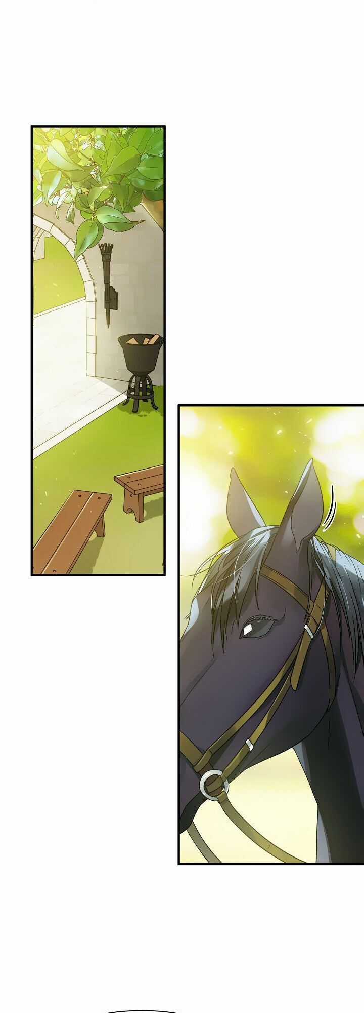 Tôi Đã Ở Đây Ngay Từ Đầu Chapter 10 trang 26