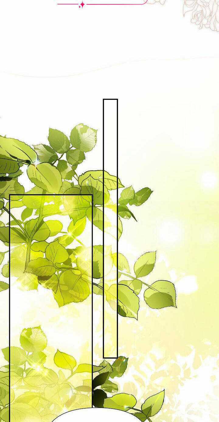 Tôi Đã Ở Đây Ngay Từ Đầu Chapter 81.2 trang 8