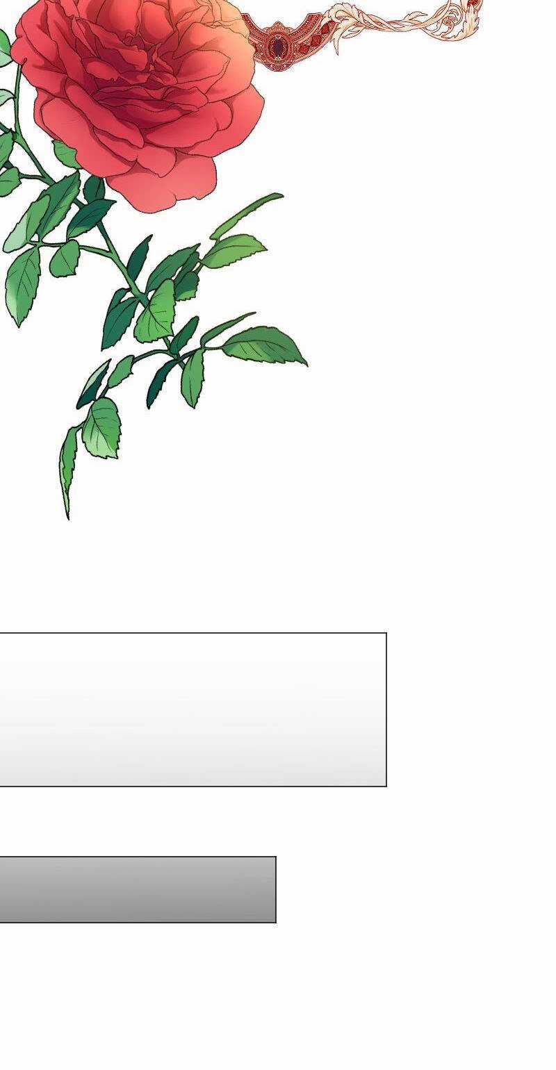 Tôi Đã Phá Vỡ Cuộc Hôn Nhân Chính Trị Chapter 1 trang 36