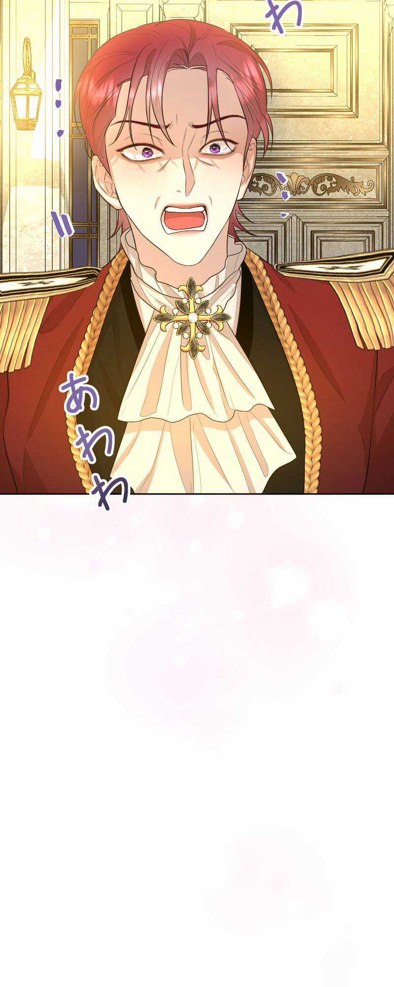 Tôi Đã Phá Vỡ Cuộc Hôn Nhân Chính Trị Chapter 11 trang 61