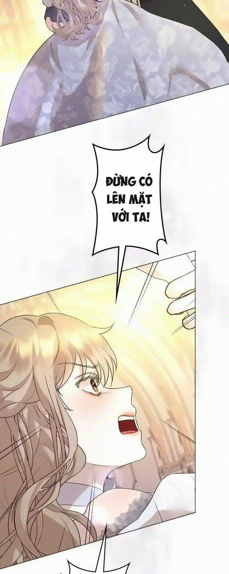 Tôi Đã Phá Vỡ Cuộc Hôn Nhân Chính Trị Chapter 13 trang 12