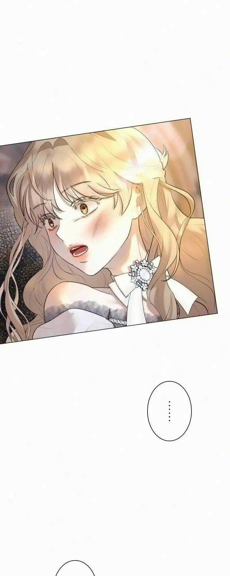 Tôi Đã Phá Vỡ Cuộc Hôn Nhân Chính Trị Chapter 13 trang 35