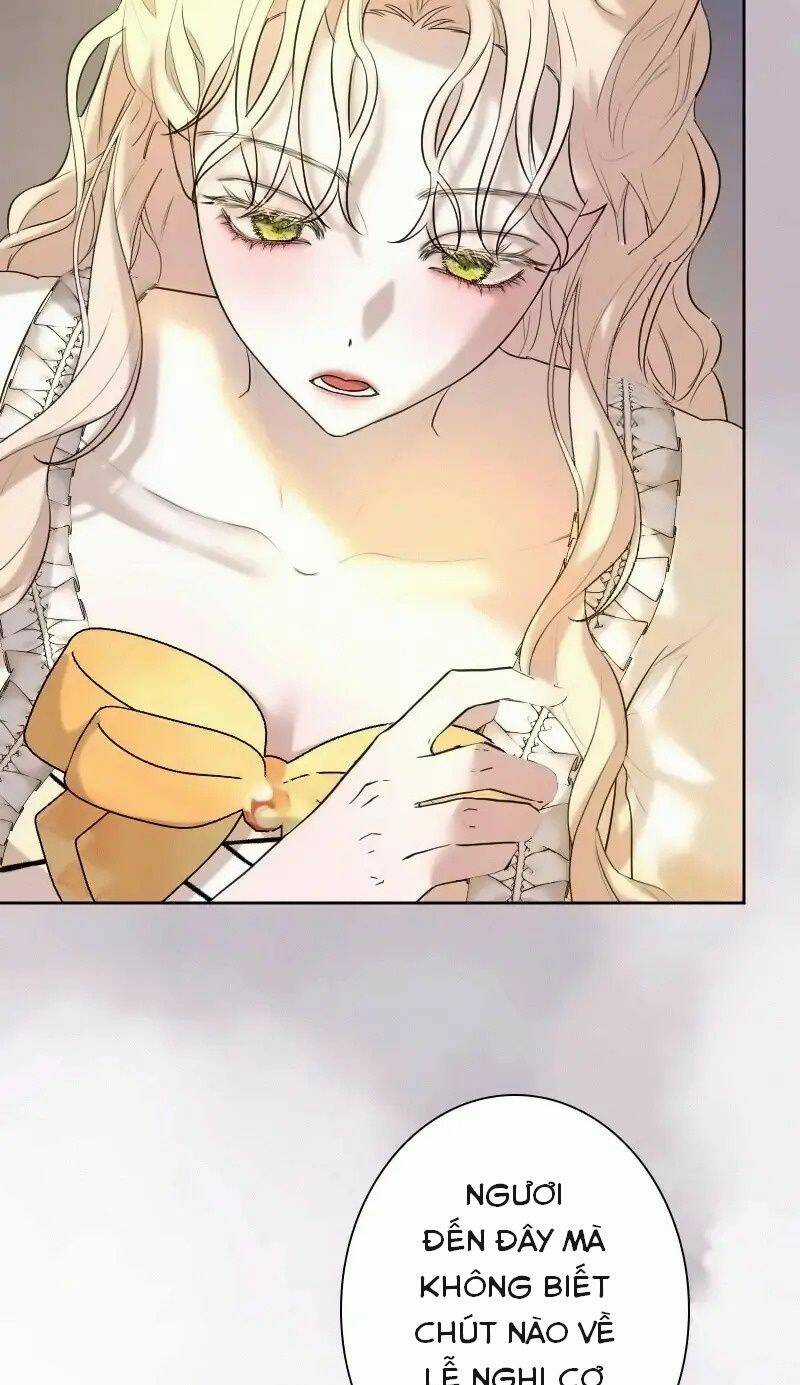 Tôi Đã Phá Vỡ Cuộc Hôn Nhân Chính Trị Chapter 13 trang 38