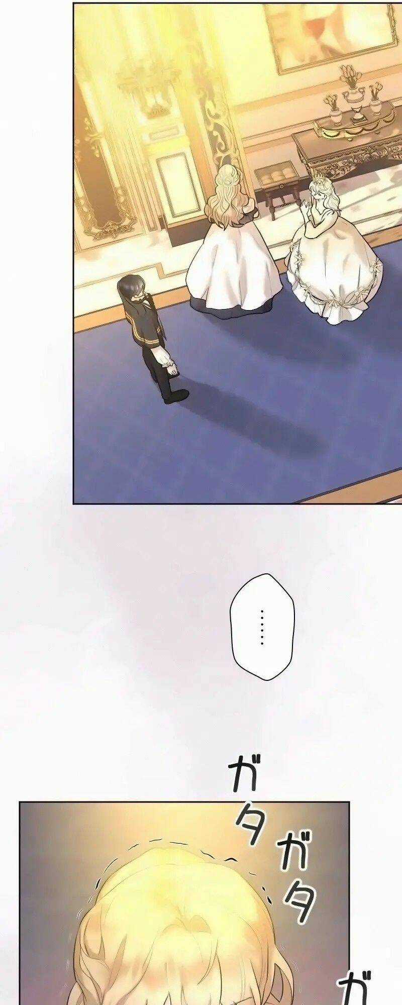 Tôi Đã Phá Vỡ Cuộc Hôn Nhân Chính Trị Chapter 13 trang 47