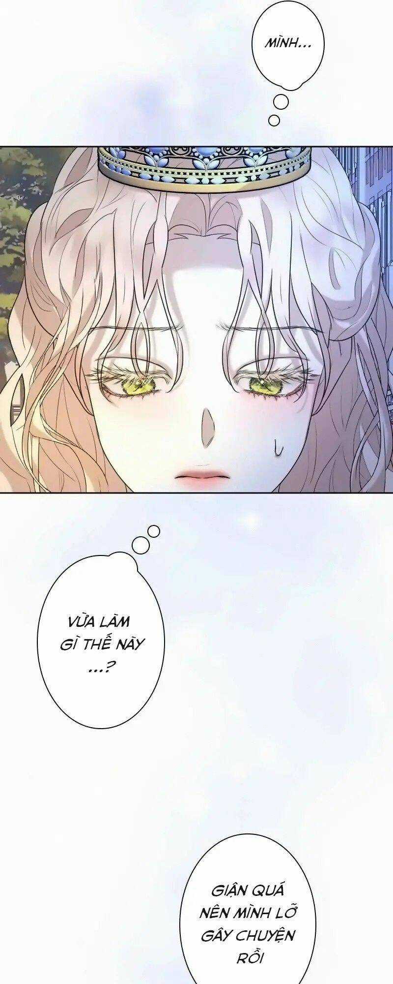 Tôi Đã Phá Vỡ Cuộc Hôn Nhân Chính Trị Chapter 13 trang 61