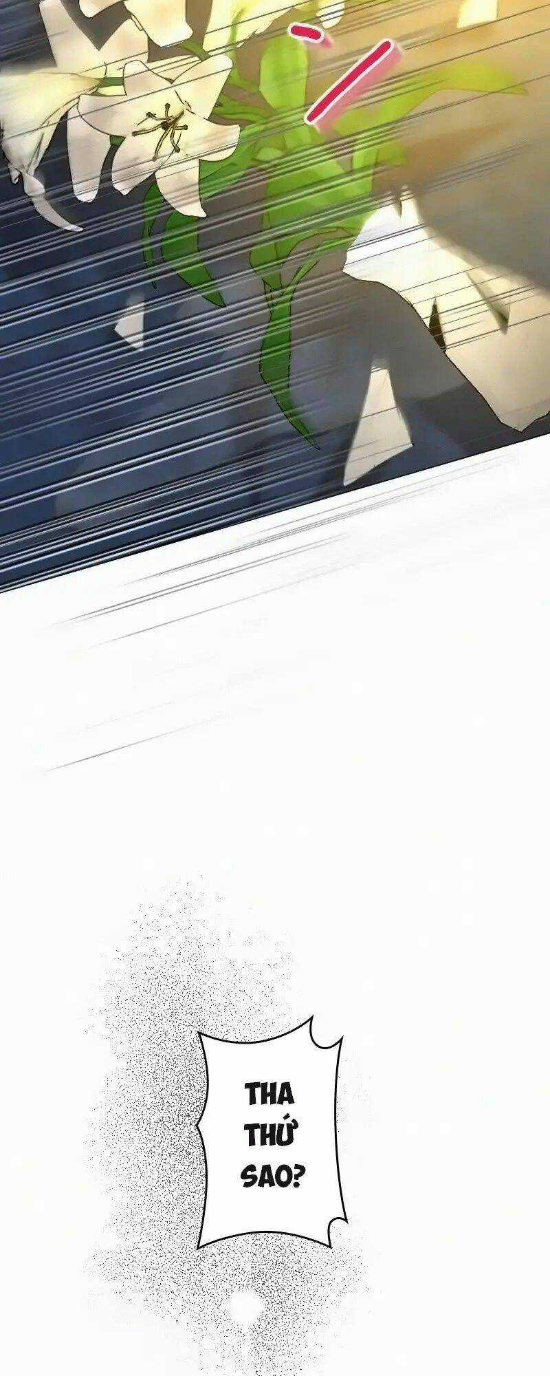 Tôi Đã Phá Vỡ Cuộc Hôn Nhân Chính Trị Chapter 14 trang 25