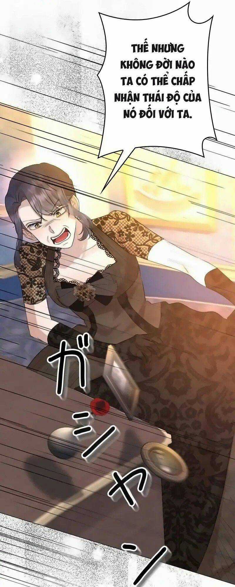 Tôi Đã Phá Vỡ Cuộc Hôn Nhân Chính Trị Chapter 14 trang 29