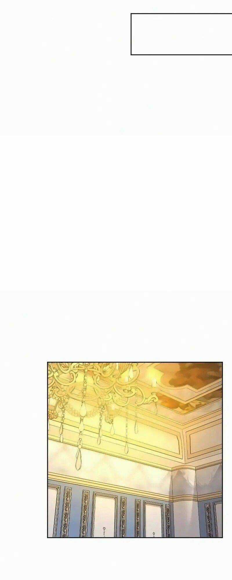 Tôi Đã Phá Vỡ Cuộc Hôn Nhân Chính Trị Chapter 14 trang 45