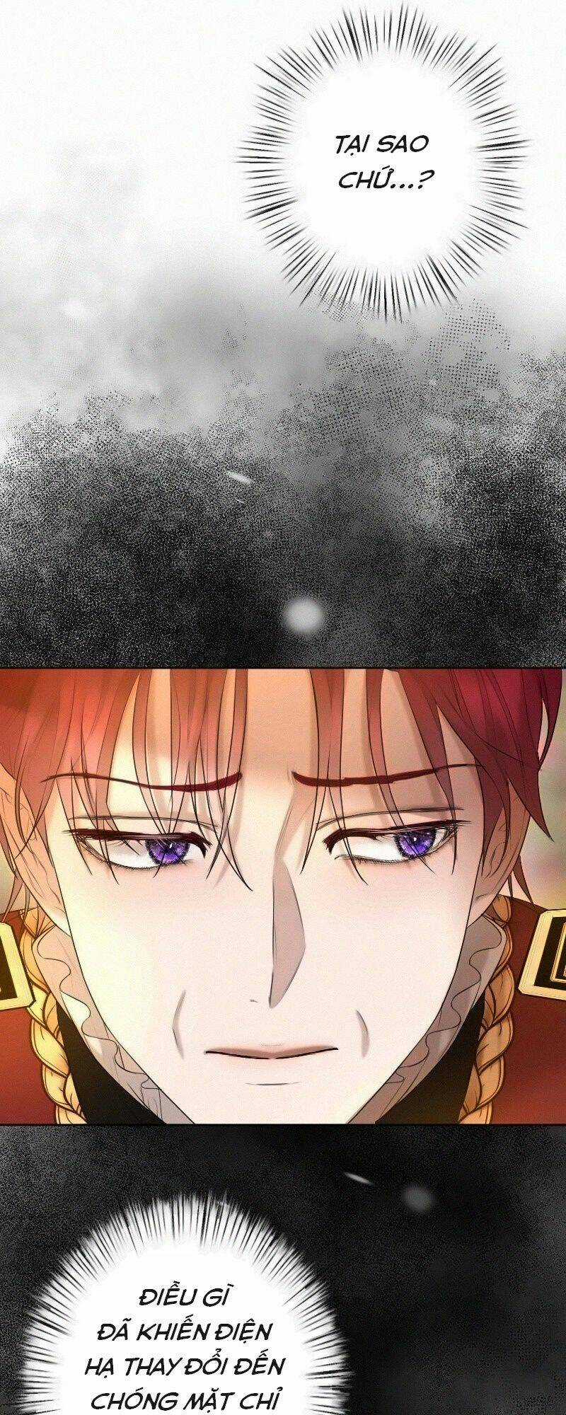 Tôi Đã Phá Vỡ Cuộc Hôn Nhân Chính Trị Chapter 14 trang 49