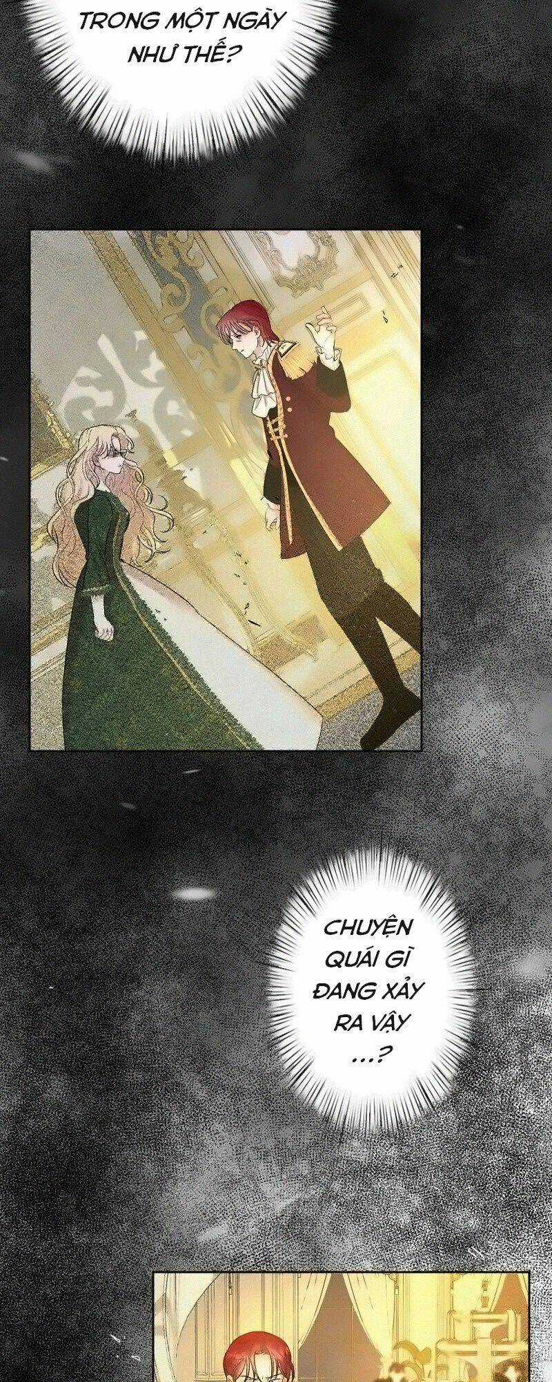 Tôi Đã Phá Vỡ Cuộc Hôn Nhân Chính Trị Chapter 14 trang 50