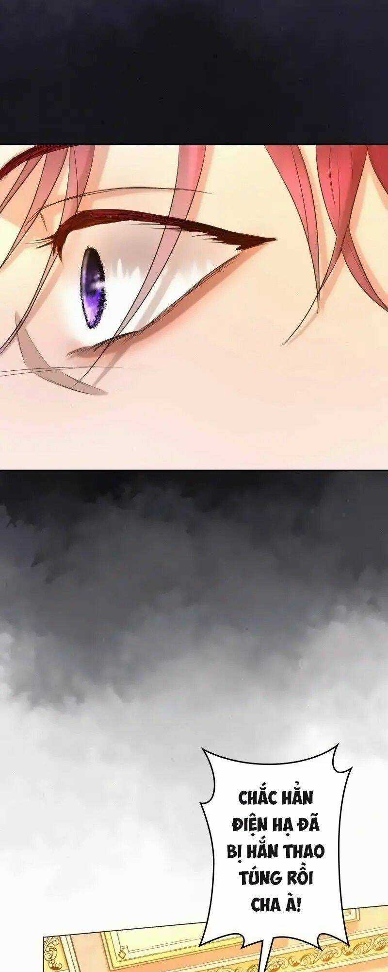 Tôi Đã Phá Vỡ Cuộc Hôn Nhân Chính Trị Chapter 14 trang 56