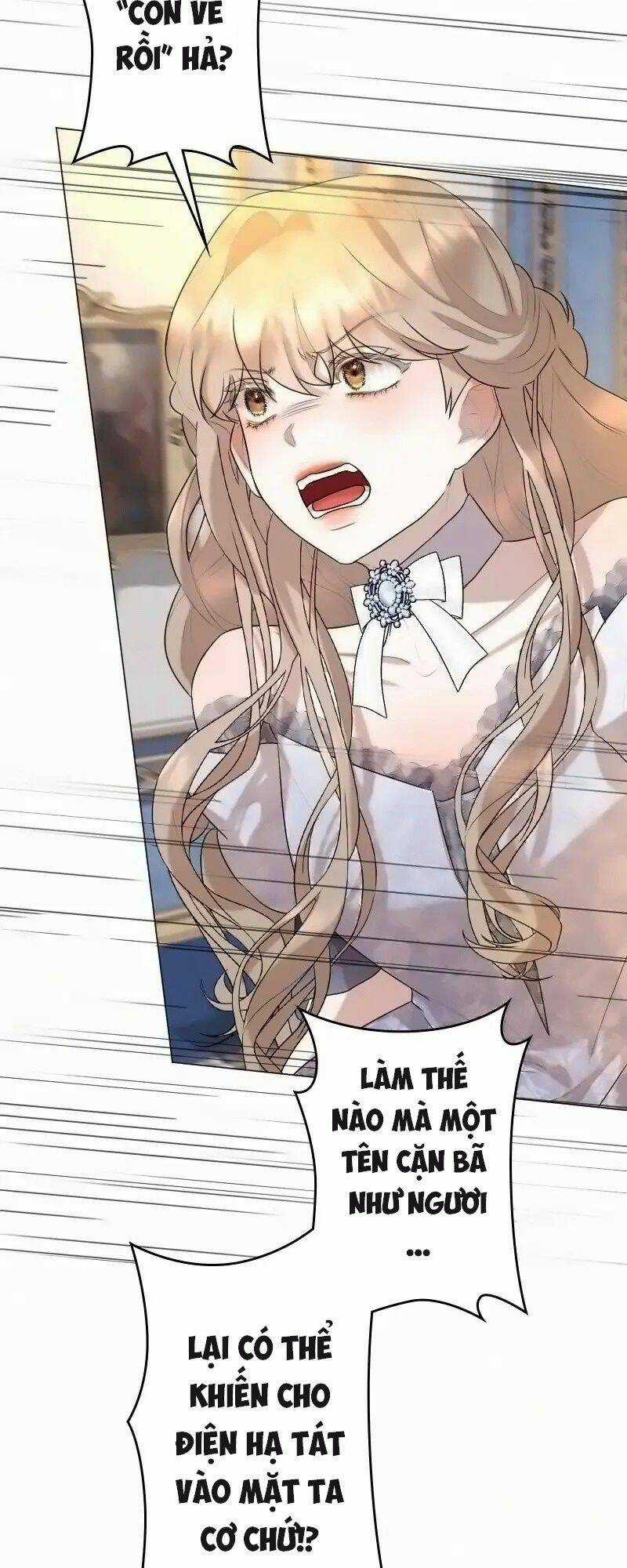 Tôi Đã Phá Vỡ Cuộc Hôn Nhân Chính Trị Chapter 14 trang 67