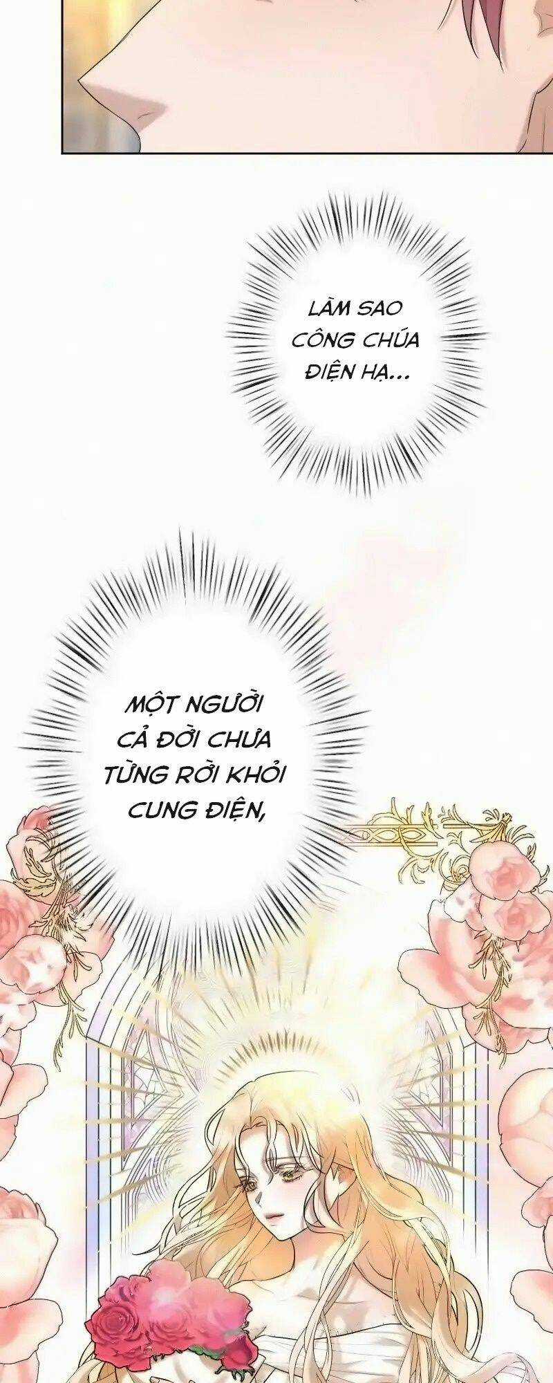 Tôi Đã Phá Vỡ Cuộc Hôn Nhân Chính Trị Chapter 14 trang 81