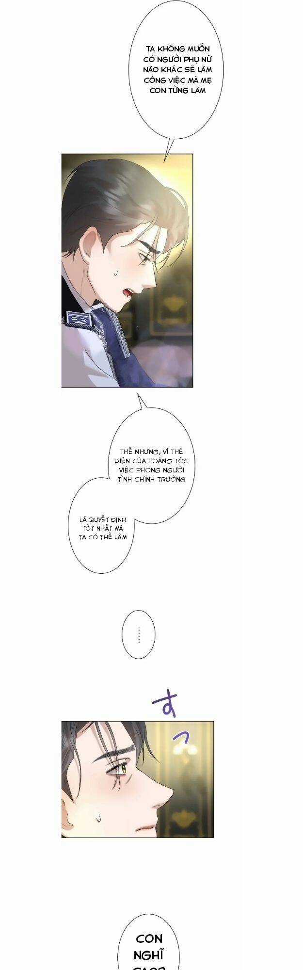 Tôi Đã Phá Vỡ Cuộc Hôn Nhân Chính Trị Chapter 15 trang 25