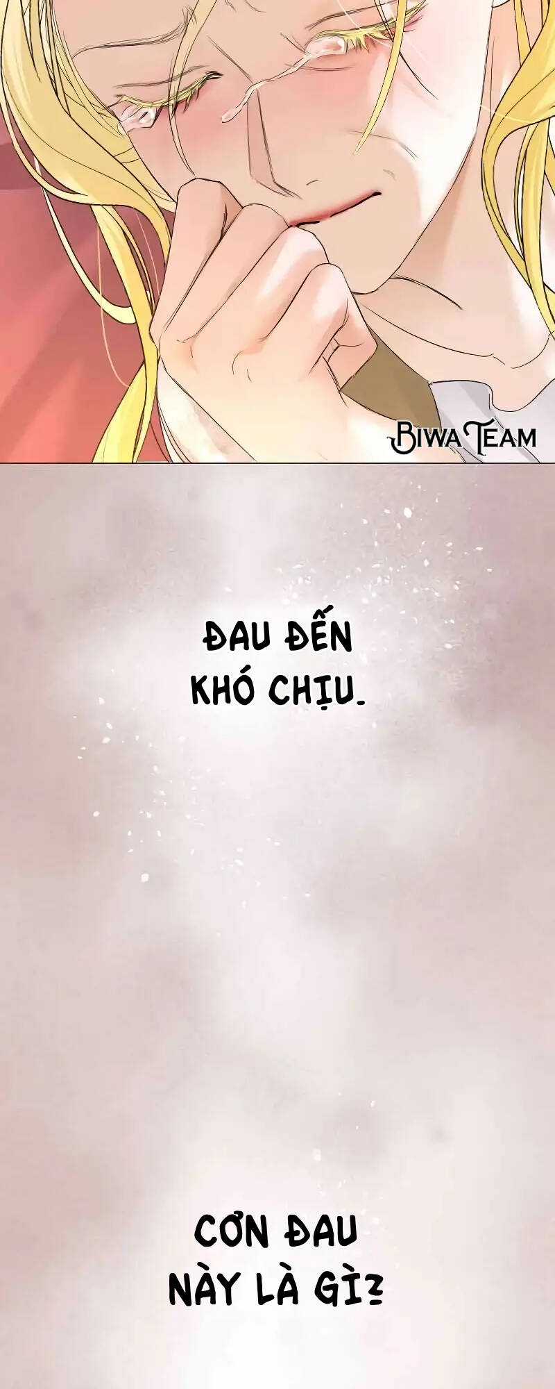 Tôi Đã Phá Vỡ Cuộc Hôn Nhân Chính Trị Chapter 3 trang 46