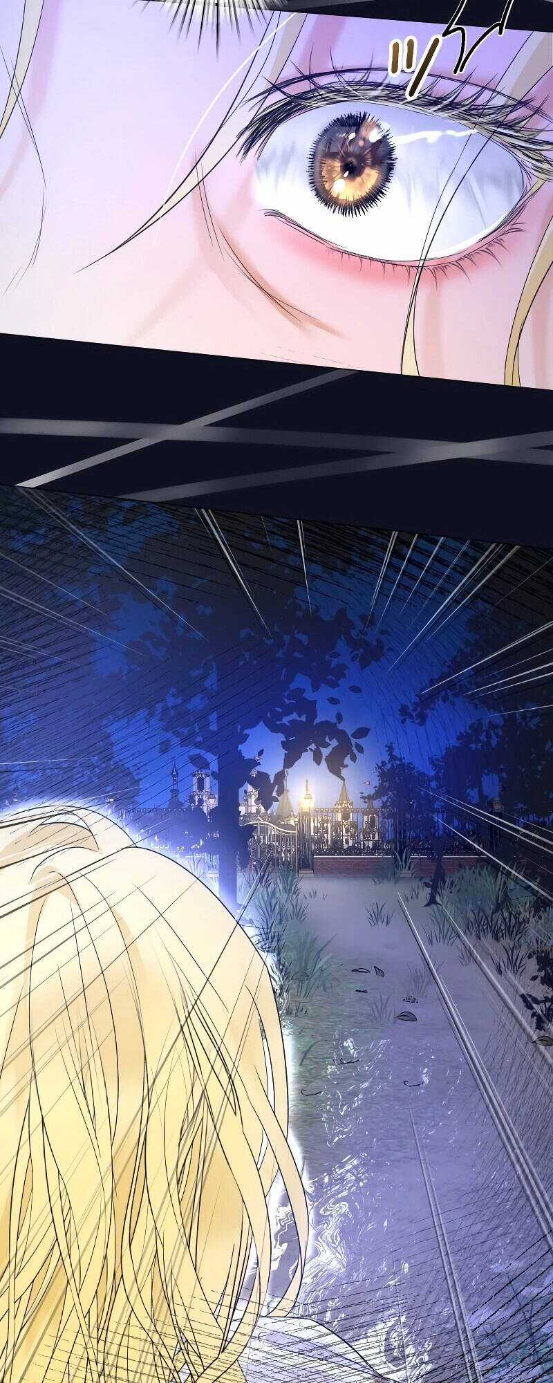 Tôi Đã Phá Vỡ Cuộc Hôn Nhân Chính Trị Chapter 3 trang 5