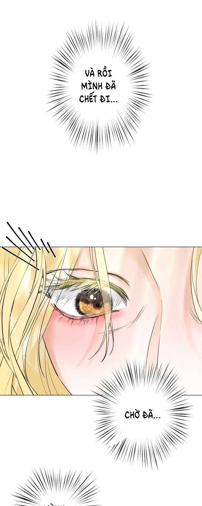 Tôi Đã Phá Vỡ Cuộc Hôn Nhân Chính Trị Chapter 3 trang 52