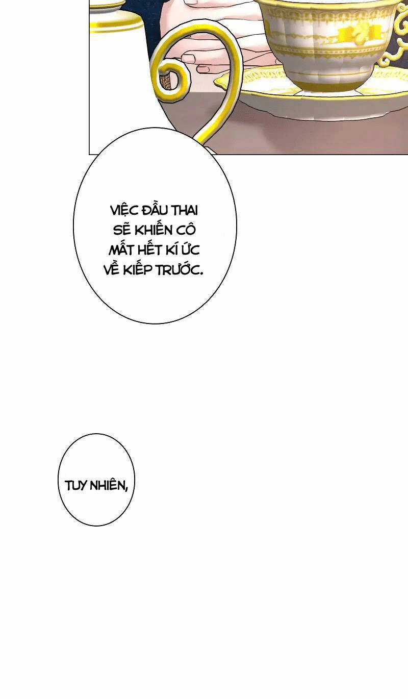 Tôi Đã Phá Vỡ Cuộc Hôn Nhân Chính Trị Chapter 4 trang 32