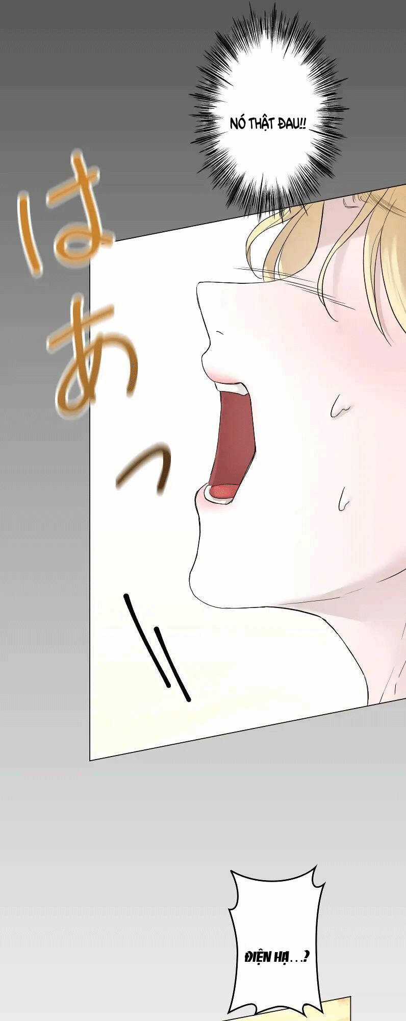 Tôi Đã Phá Vỡ Cuộc Hôn Nhân Chính Trị Chapter 4 trang 47