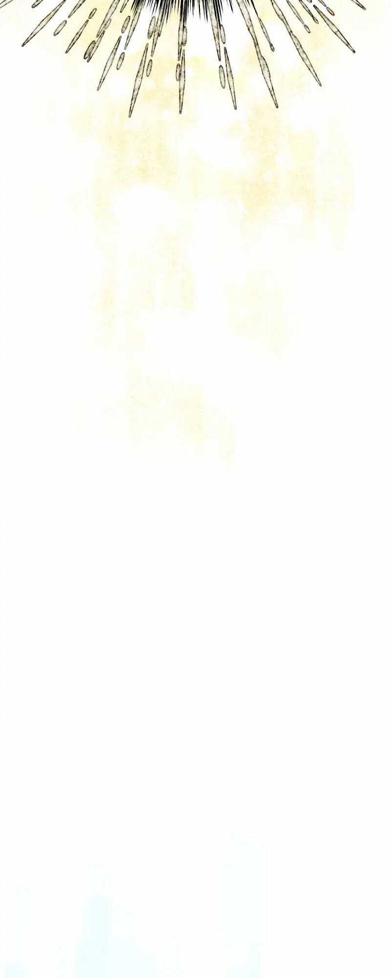 Tôi Đã Phá Vỡ Cuộc Hôn Nhân Chính Trị Chapter 5 trang 10