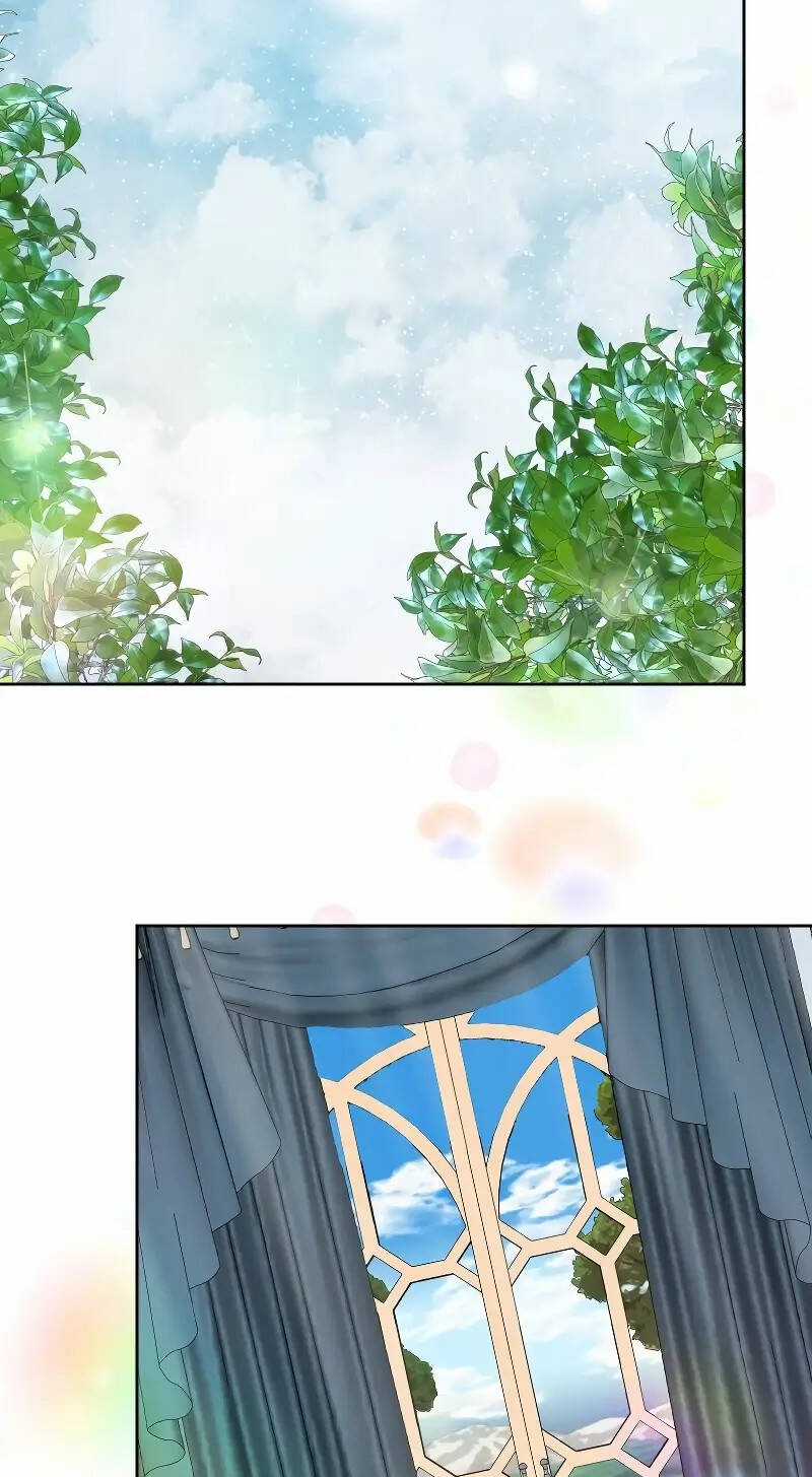 Tôi Đã Phá Vỡ Cuộc Hôn Nhân Chính Trị Chapter 5 trang 39