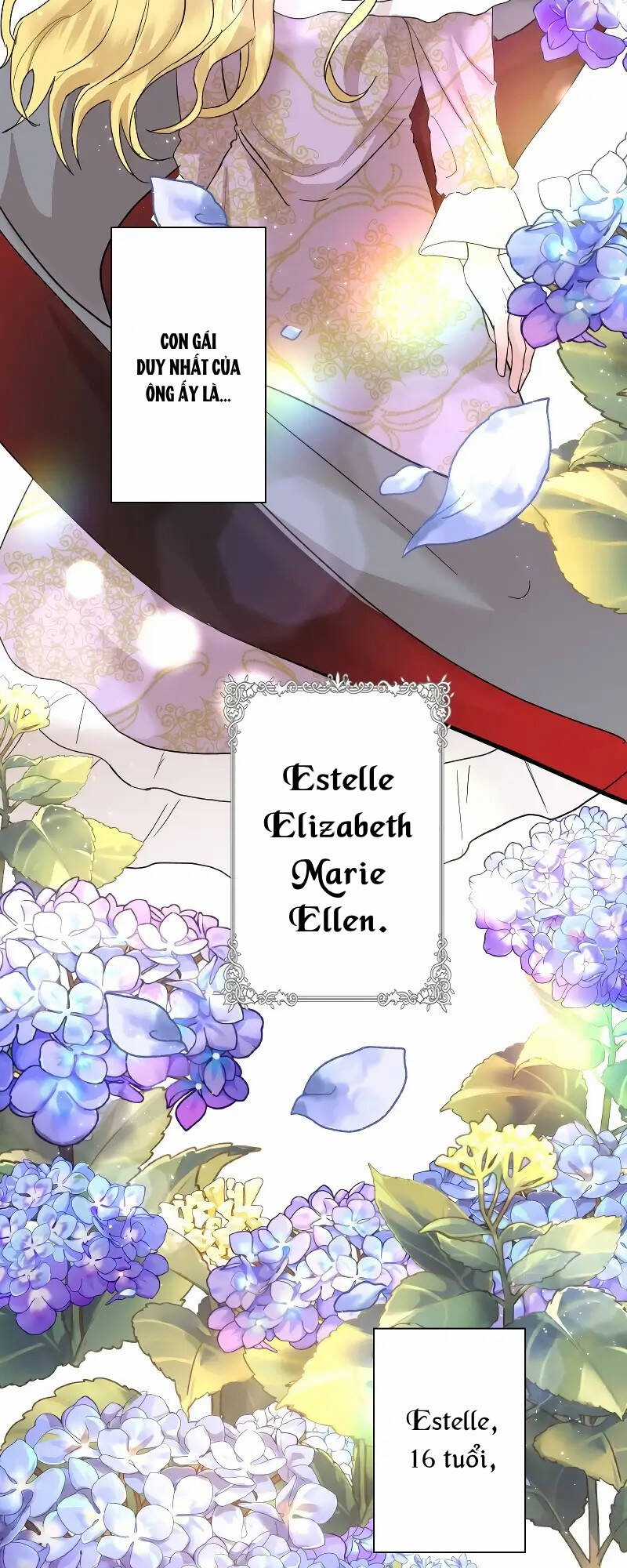 Tôi Đã Phá Vỡ Cuộc Hôn Nhân Chính Trị Chapter 5 trang 43