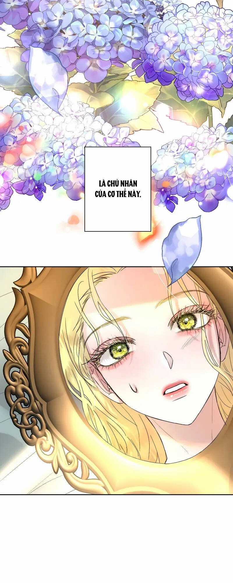 Tôi Đã Phá Vỡ Cuộc Hôn Nhân Chính Trị Chapter 5 trang 44