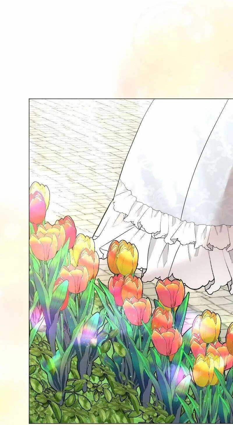 Tôi Đã Phá Vỡ Cuộc Hôn Nhân Chính Trị Chapter 7 trang 30