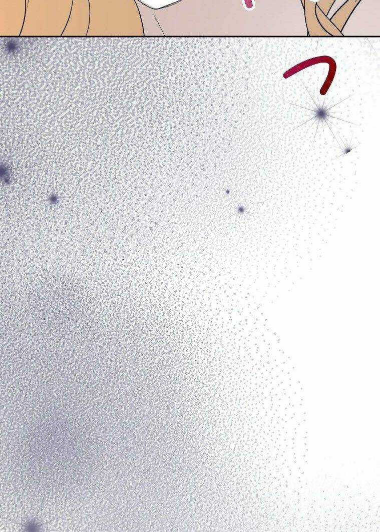 Tôi Đã Phá Vỡ Cuộc Hôn Nhân Chính Trị Chapter 8 trang 17